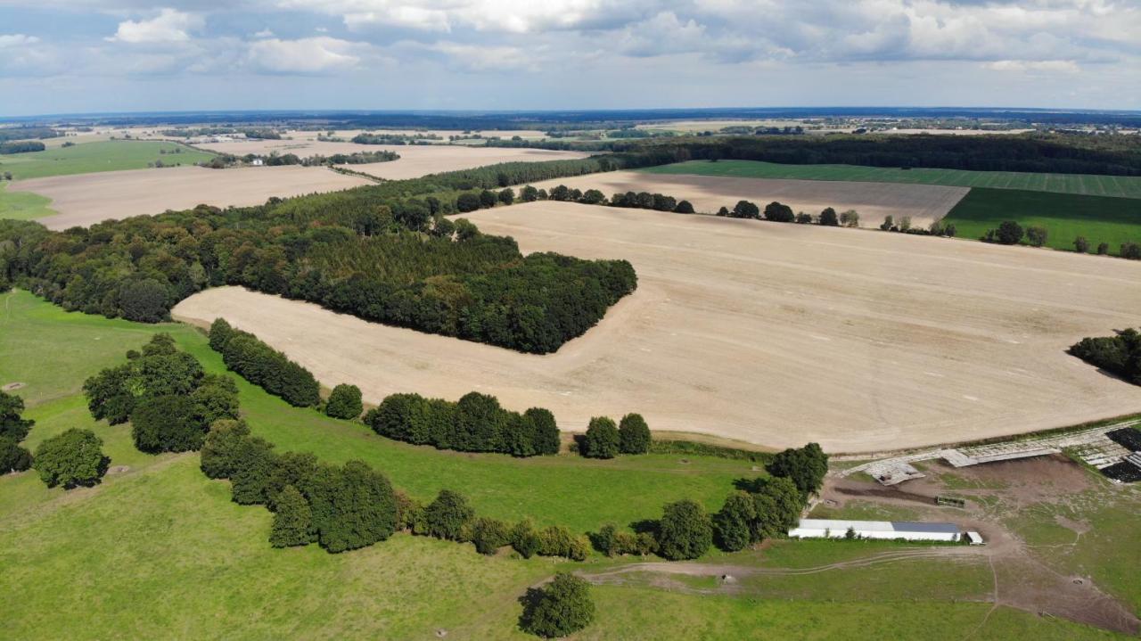 Peenehof Koeppen - Ferienwohnungen & Schlaffaesser Jordenstorf エクステリア 写真